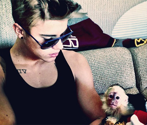 Justin Bieber Owes Germany $11,000 For Abandoning His Monkey