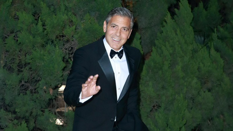 George and Amal Clooney Adopt Basset Hound