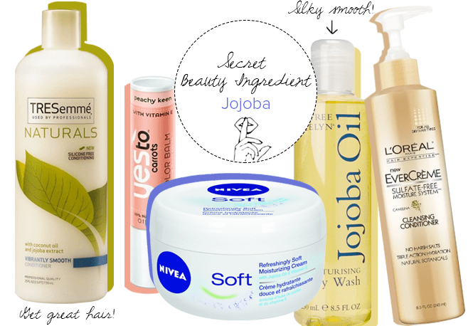 Find the Best Dry Shampoo Any Hair Type