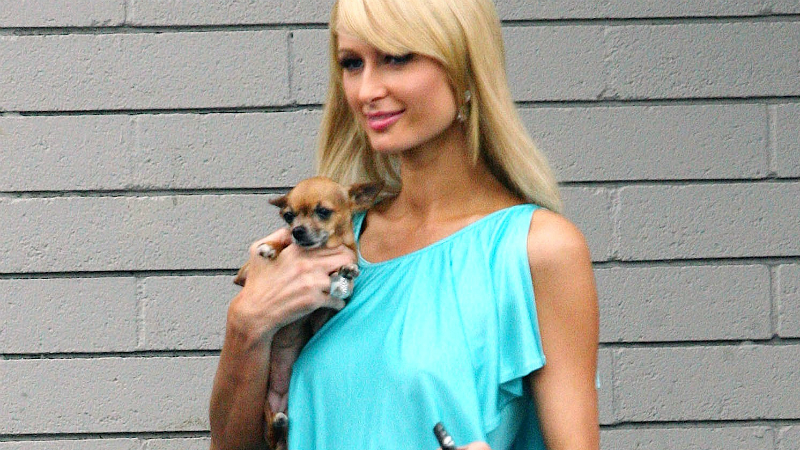 Louis Vuitton's Murakami Monogram Bags Are Being Discontinued