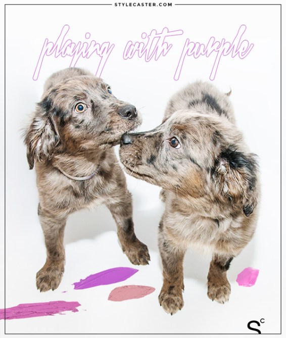 Photo by Tiffany Hagler-Geard; Graphic Design by Rolando Robinson