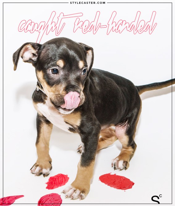 Photo by Tiffany Hagler-Geard; Graphic Design by Rolando Robinson