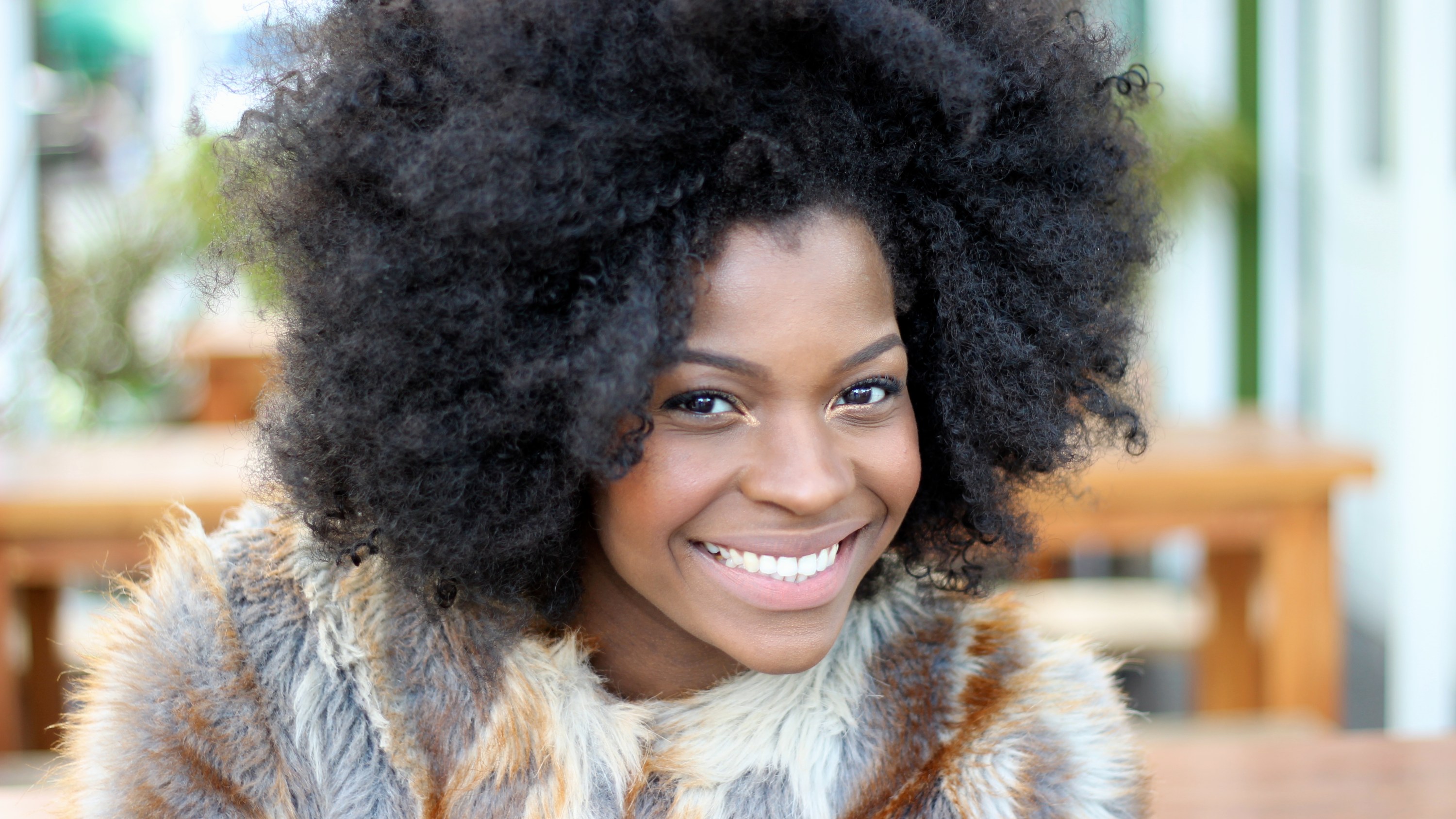 freddie harrel