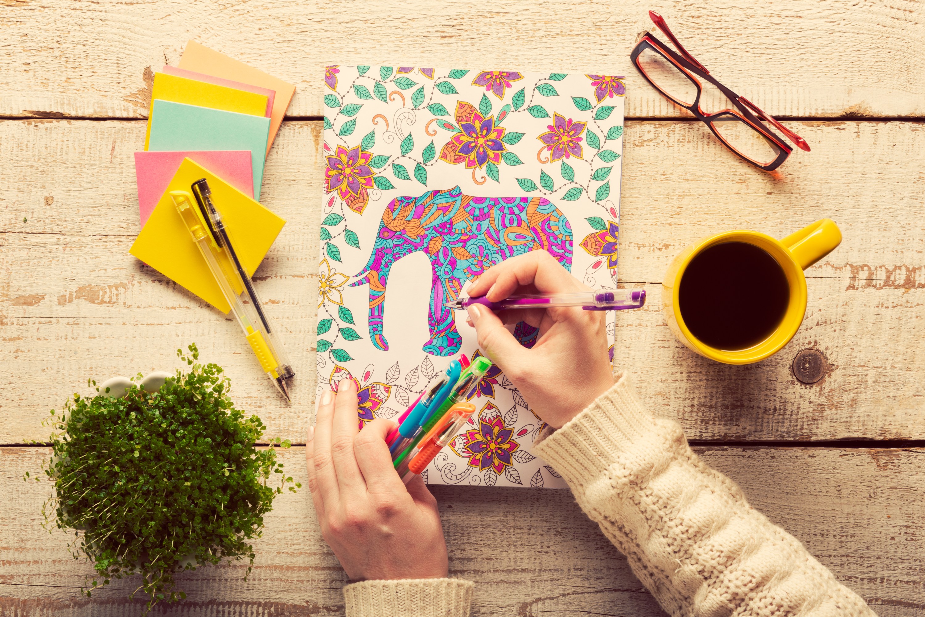 STYLECASTER | adult coloring books