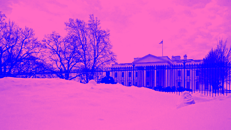 women senate blizzard 2016