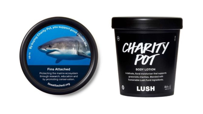 lush charity pot
