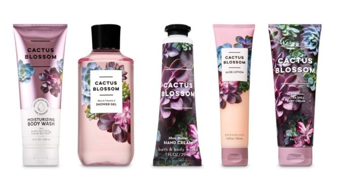 bath-body-works-cactus