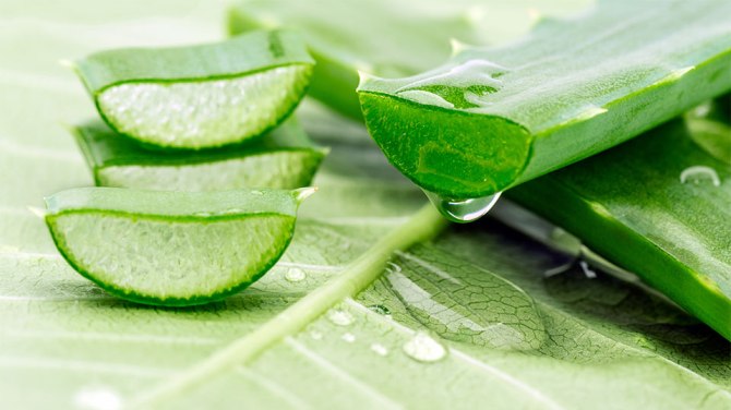 thigh-chafing-aloe-vera