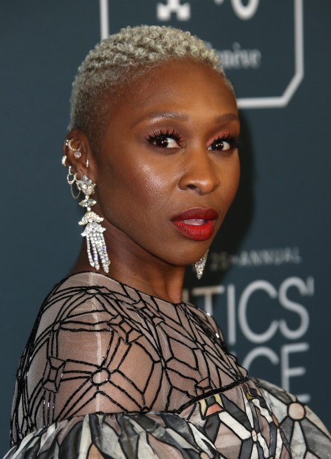 25th Annual Critics' Choice Awards, Arrivals, Barker Hanger, Los Angeles, USA - 12 Jan 2020