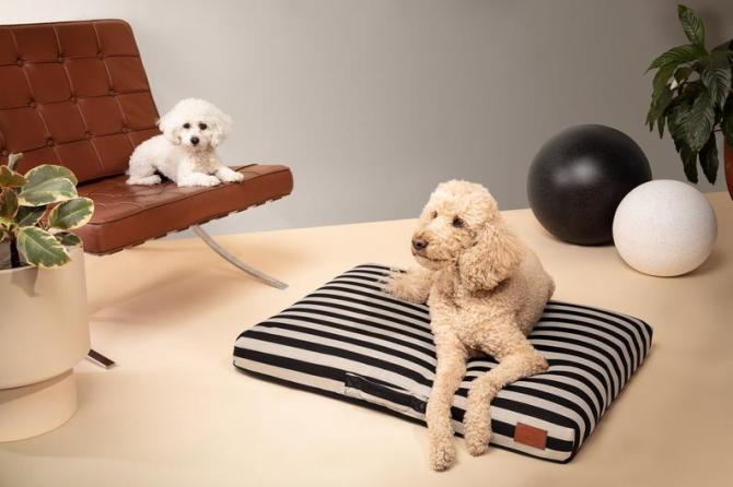STYLECASTER | Altuzarra x Etsy Home Decor Collection | dog bed