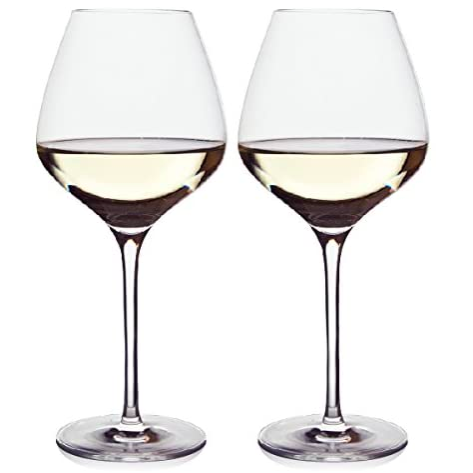 best white wine glasses the one