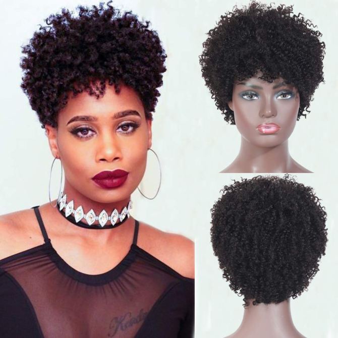 Ms. Taj Afro Kinky Curly Short Wig