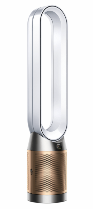 STYLECASTER | Dyson Air Purifier