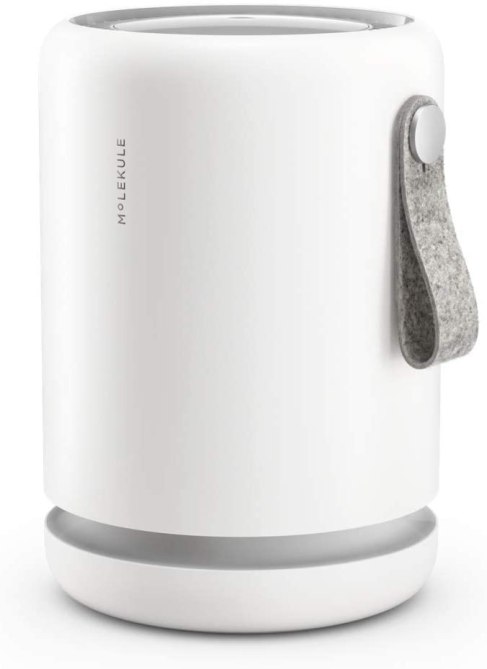 STYLECASTER | Molecule Air Purifier Sale