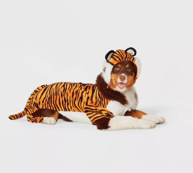 STYLECASTER | Pet Halloween Costumes