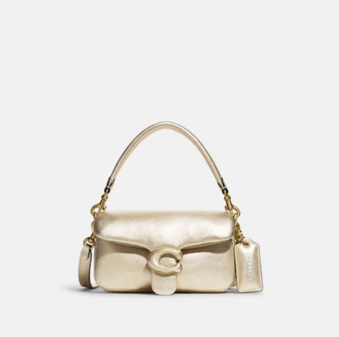 STYLECASTER | Coach Pillow Tabby