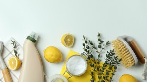 sustainable cleaning products amazon