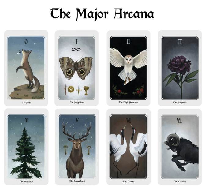 Anima Mundi Tarot Cards