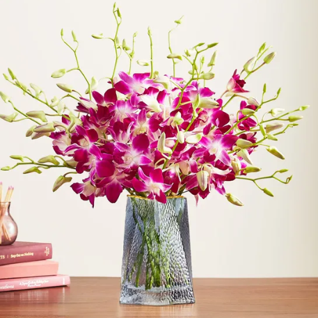 Exotic Breeze Orchids