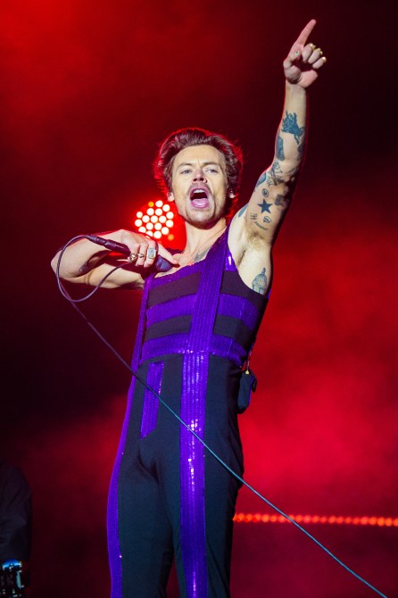 Harry Styles Concert 2022