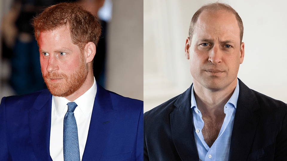 Prince Harry, Prince William