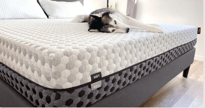 Layla Sleep mattress