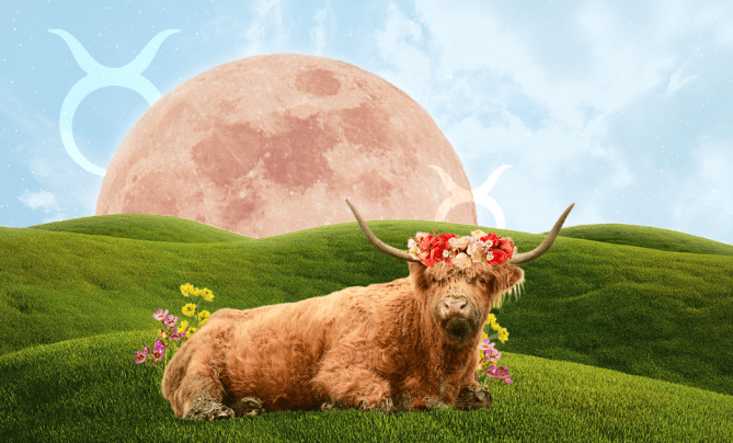 StyleCaster | Taurus Season 2023 Astrology