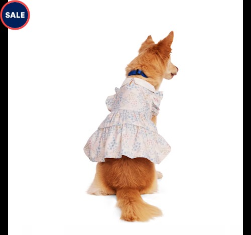 Youly Collared Floral Dog Dress Petco