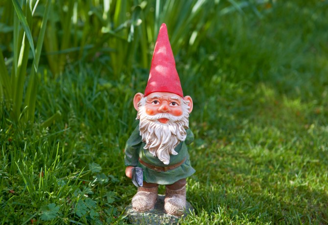 Gnome