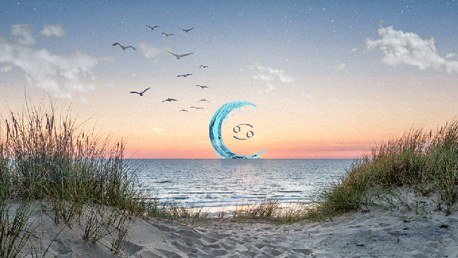 StyleCaster | New Moon in Cancer Horoscopes For Every Zodiac Sign