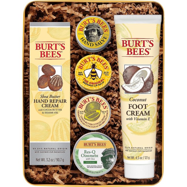 Burt's Bees Classic Gift Set