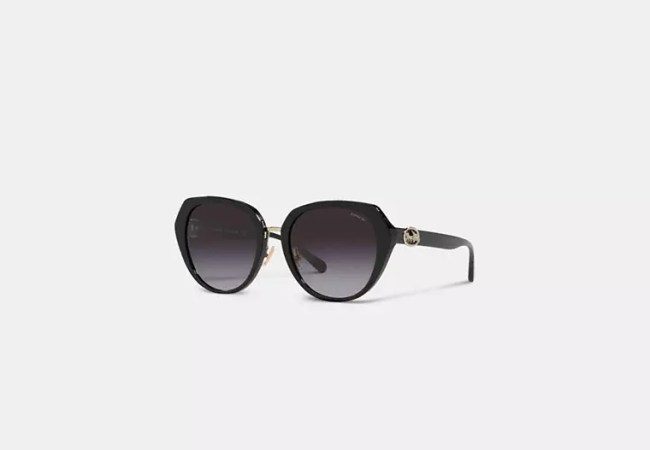 Coach Horse & Carriage Oversized Round Sunglasses
