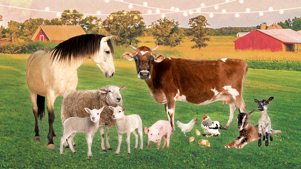 StyleCaster | Here's the Farm Animal That Captures Each Zodiac Sign's Cozy & Hardworking Side