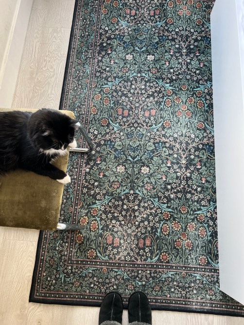 STYLECASTER | Ruggable Review