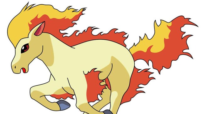 Ponyta