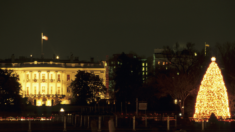 The White House and The National Christmas Tree illuminated at night, Washington DC, USA.