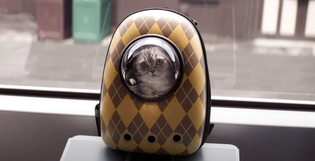 argylle taylor swift easter eggs