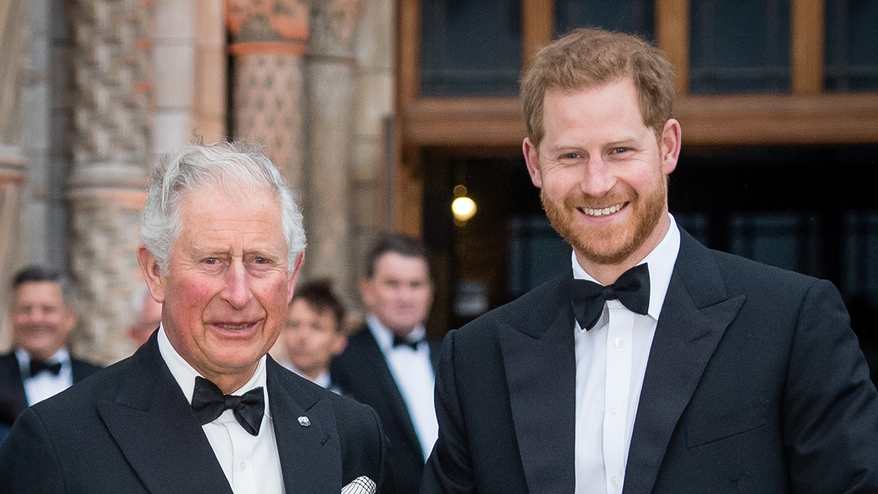 Prince Charles, Prince of Wales and Prince Harry, Duke of Sussex attend the "Our Planet" global premiere  at Natural History Museum on April 04, 2019 in London, England.