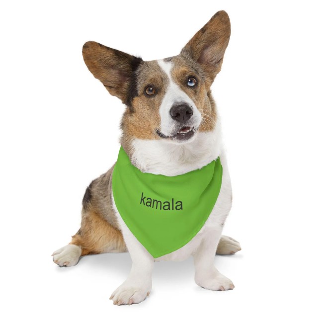 Kamala Brat Dog Bandana