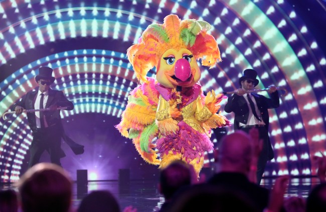 THE MASKED SINGER: Showbird in the season premiere of THE MASKED SINGER airing Wednesday, Sep. 25 (8:00-9:02 PM ET/PT) on FOX.