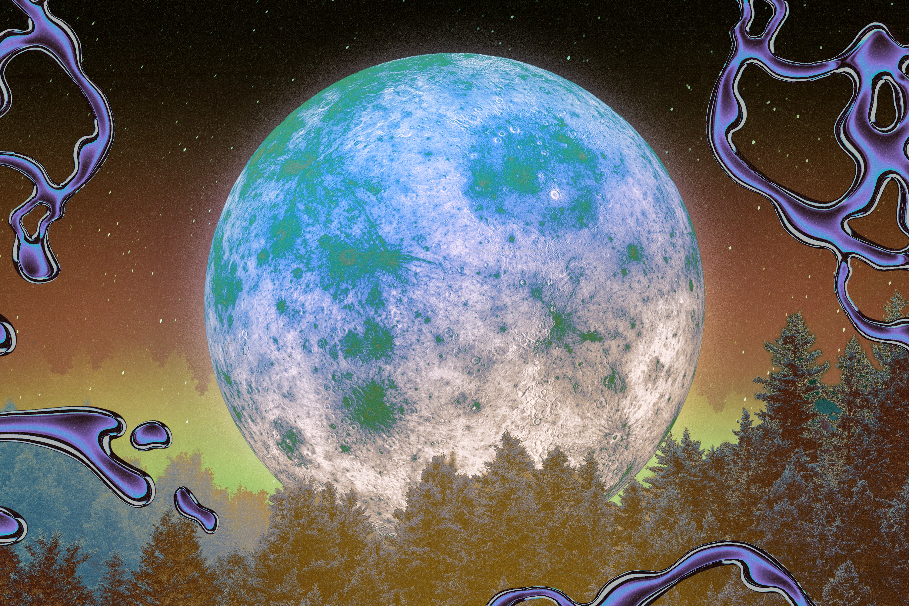 A bluish full moon rising over a forest night sky