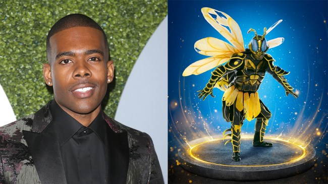 Mario, Wasp - The Masked Singer