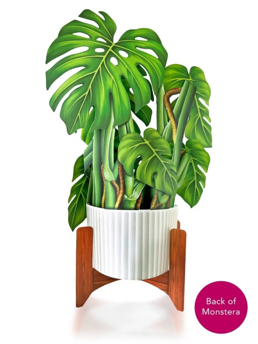 Fresh Cut Paper Monstera Plant