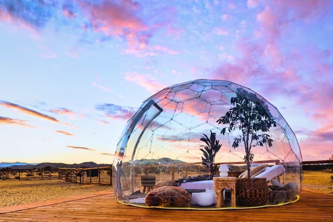 Luxury Spa Home in Joshua Tree, California