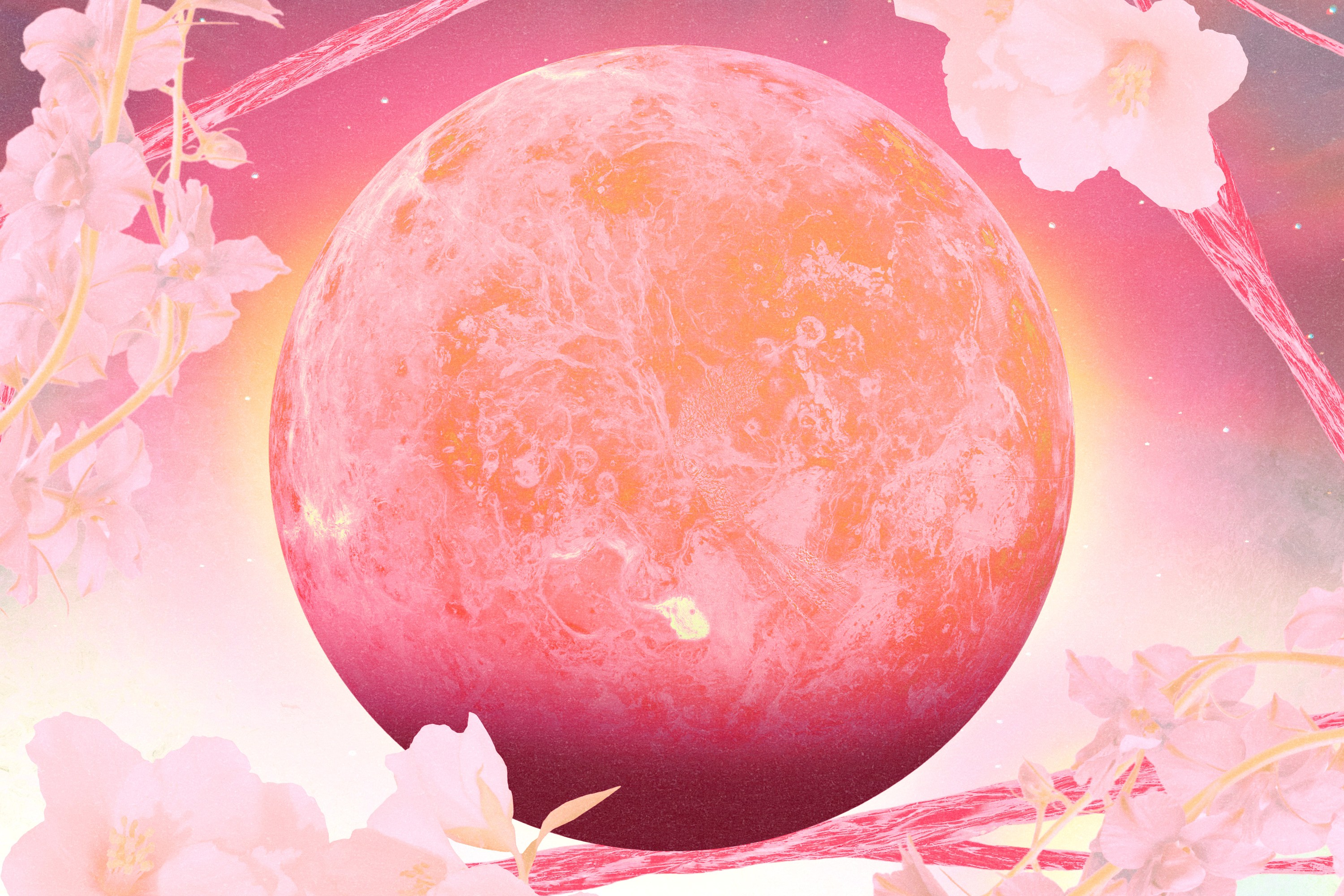 A pink planet Venus hovering over a pink and yellow glowing cosmic background surrounded by flowers
