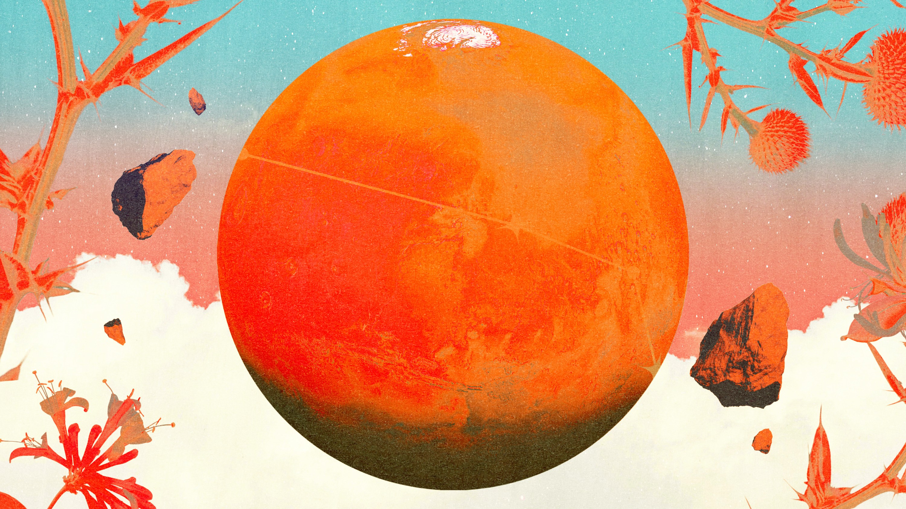 Planet Mars in orange and red colors, surrounded by branches and herbs that represent spring.