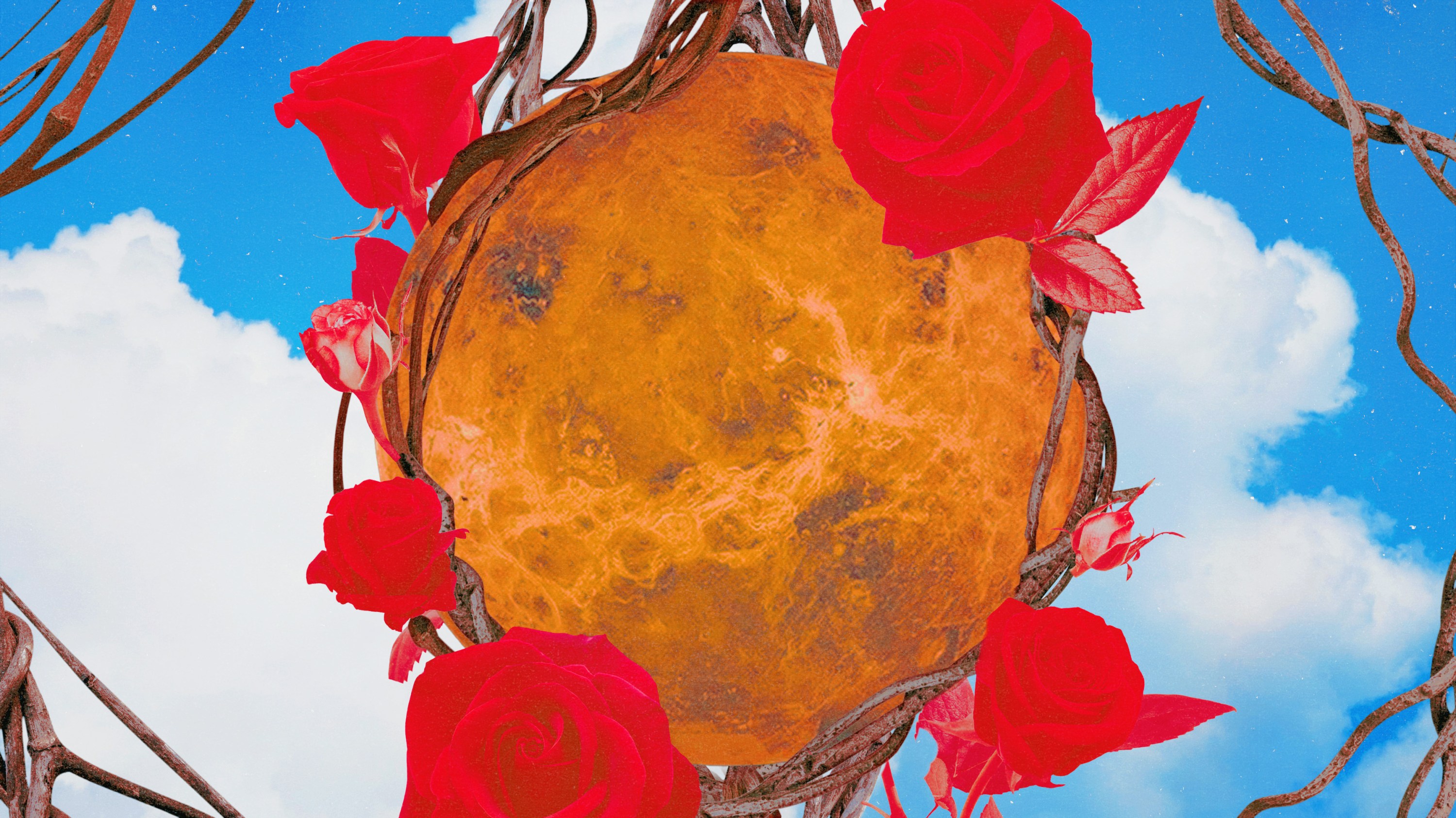 Planet Venus surrounded by red roses in front of a blue sky background