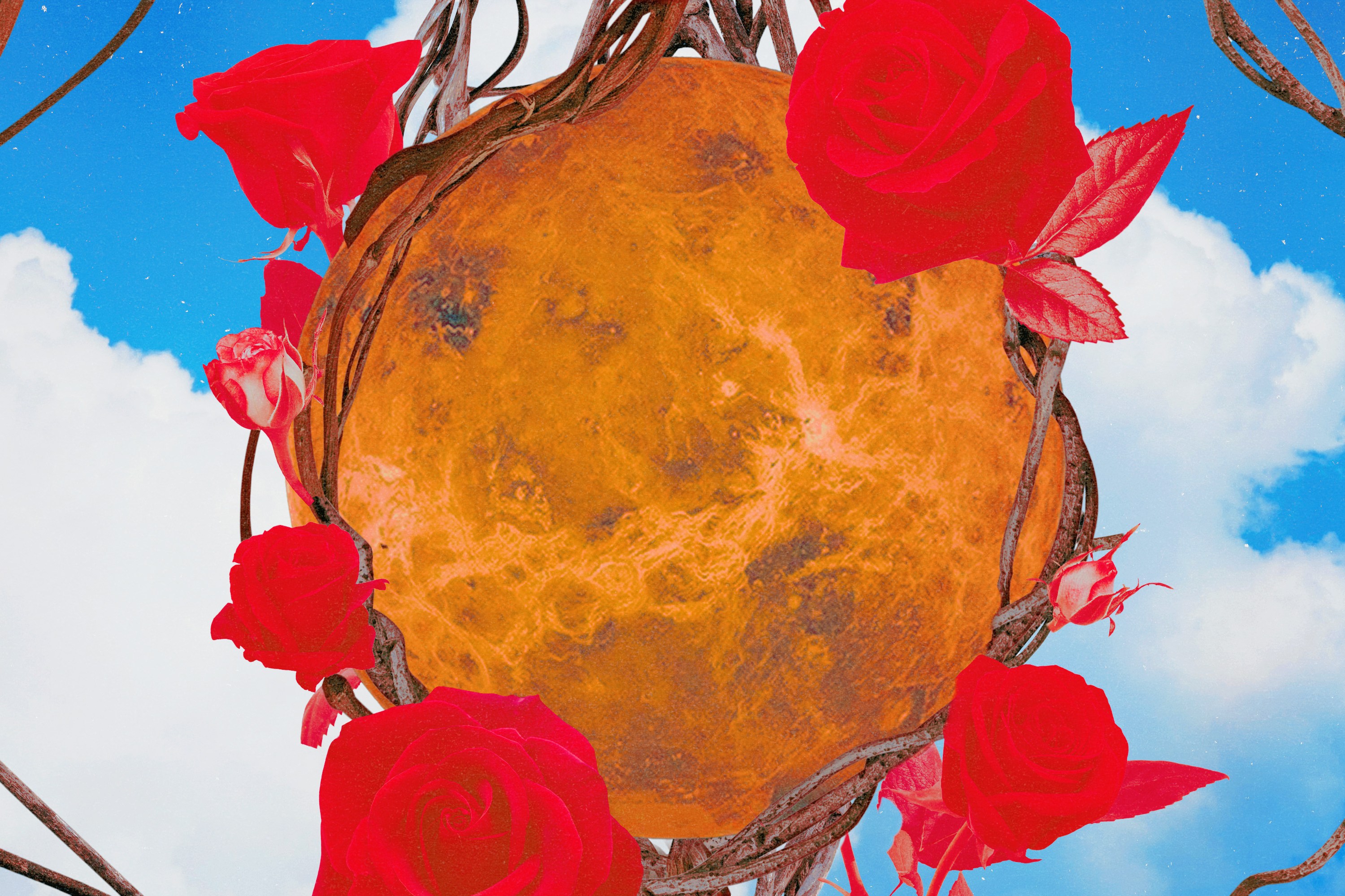 Planet Venus surrounded by red roses in front of a blue sky background