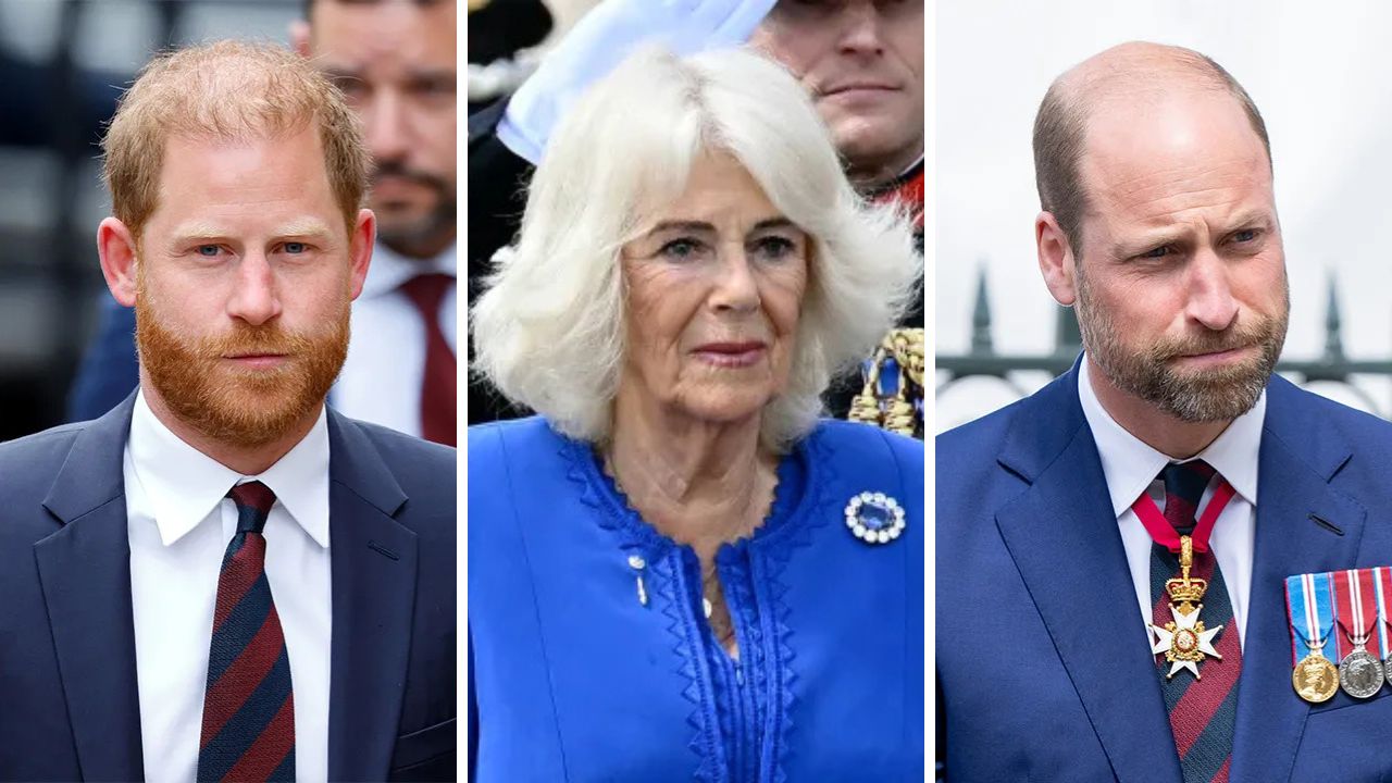 Harry, Camilla, William