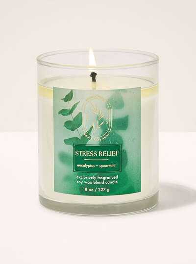 Eucalyptus Spearmint 3-Wick Candle